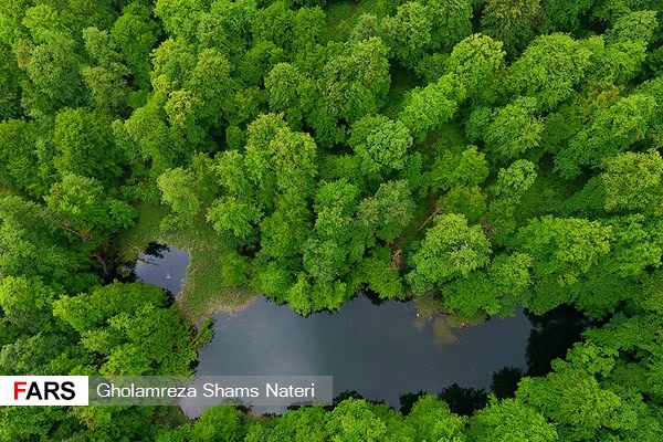 نمای هوایی از دریاچه فراخین در عمق جنگلهای هیرکانی نوشهر این دریاچه یکی از مناطق دیدنی و گردش پذیر منطقه است 