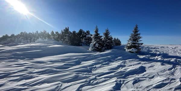 سرما