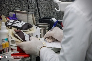 نذر خون شب ۲۳ رمضان در بوشهر