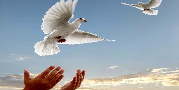 آزادی زندانیان