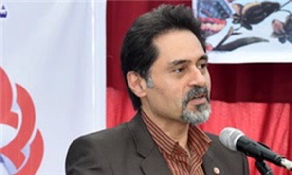 نحوی نژاد