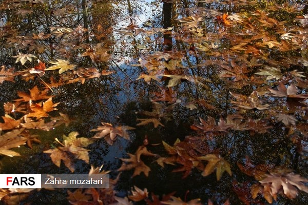 آخرین نفس‌های پاییز