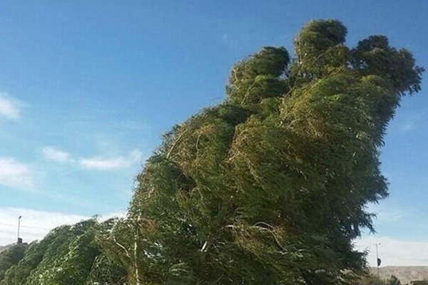 هواشناسی