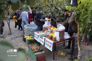 عرضه محصولات فرآوری شده از میوه هیوا(به) در دومین جشنواره هیوا(به)گیوی