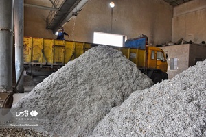 کار گاه فراوری پنبه در خراسان‌شمالی