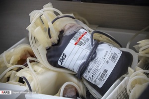 نذر خون شب ۲۳ رمضان در بوشهر