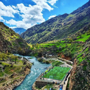 تصویر نمایه‌ی ‌رضا ابراهیمی‌