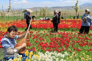 نوازنده ساز عاشیقی(قوپوز) در حال نواختن ساز بین گلهای لاله است