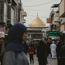 تصویر نمایه‌ی ‌فاطمه بختیاری‌