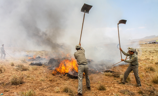 مانور اطفای حریق جنگل سمنان