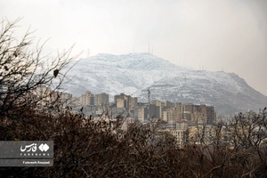 برگ ریزان پاییز