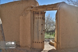 شکوفه های بهاری