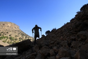 ارتفاعات مارگون سپیدان