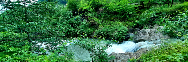 تصویر سربرگ نمایه‌ی ‌بهار‌