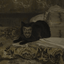 تصویر نمایه‌ی ‌مموتی نژاد‌