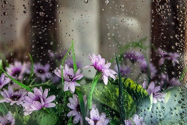 هواشناسی