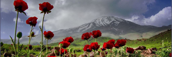 تصویر سربرگ نمایه‌ی ‌رضا دهقانی‌