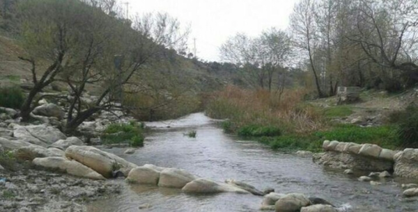 چهل چشمه 