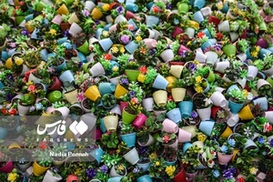 طلای سرگردان 