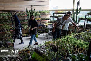 غرفه فروش کاکتوس و گیاهان گوشتی در نمایشگاه گل و گیاه تهران