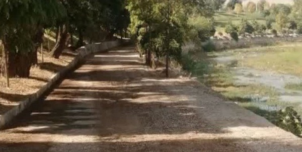 جاده سلامت