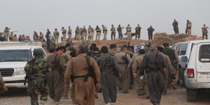 کرد