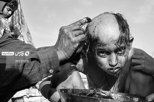 برگزیده بخش عکاسی خیابانی