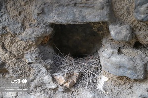 کاروانسرای سنگی صفویه در جاده چالوس 