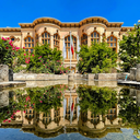 تصویر نمایه‌ی ‌مهدی بی غم‌