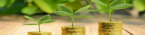 صندوق قرض‌الحسنه