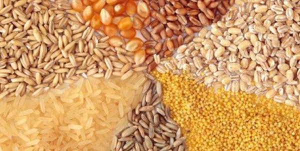 نهاده دامی