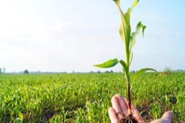 تحقیقات کشاورزی