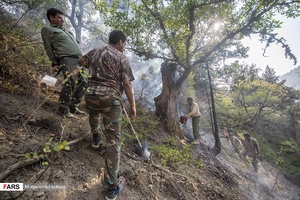 تیم های مشترک منابع طبیعی و محیط زیست استان گلستان در عملیات مشترک به اطفاع حریق مشغول بودند
