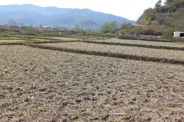 ر