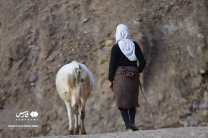 بر اساس مدارک و واقعیات موجود، زنان سهم عمده ای در فعالیتهای اقتصادی و تولیدی کشورهای در حال توسعه دارند.