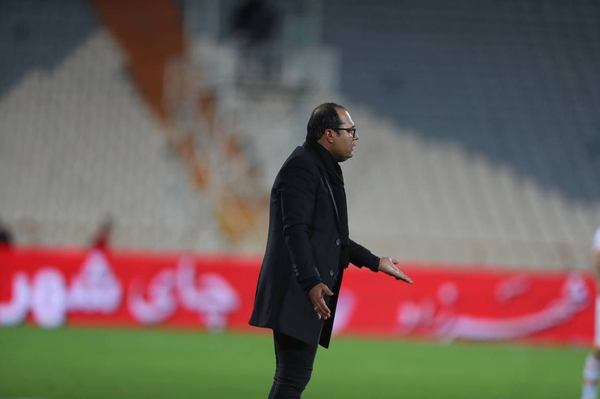 محمد ربیعی، ربیعی