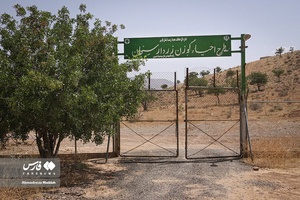 گوزن زرد ایرانی