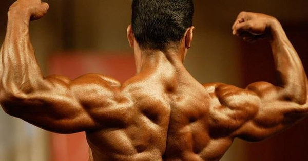بدنسازی، پرورش اندام، بادی بیلدینگ، پاورلیفتینگ