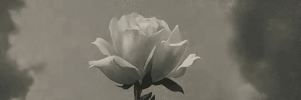 تصویر سربرگ نمایه‌ی ‌Unknown Nameless‌