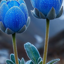 تصویر نمایه‌ی ‌Mohamad Mamadam‌