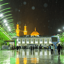 تصویر نمایه‌ی ‌نرگس ناظری‌