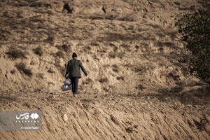 زعفران نوبرانه