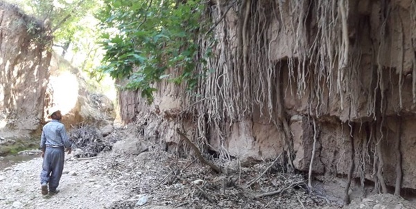 کلاته نقی