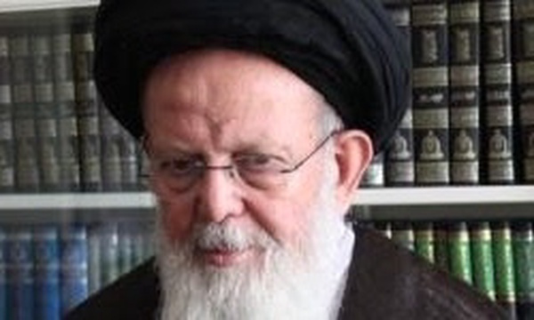 آیت الله سید محمد حسینی زنجانی