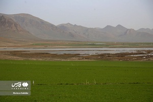 زندگیِ دوباره «دِهنو»