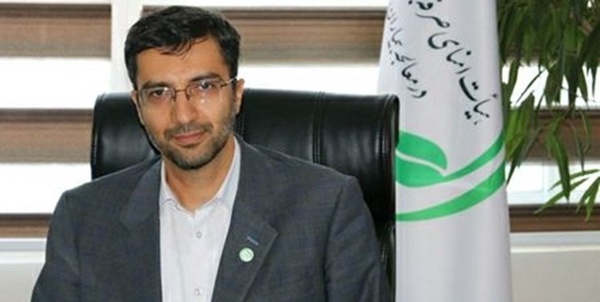 سید حسین صفوی