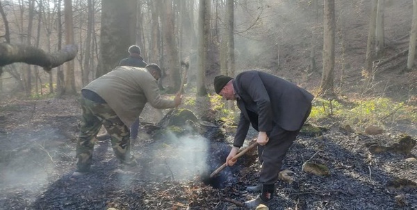 آتش سوزی جنگل‌های نکا و گلوگاه 