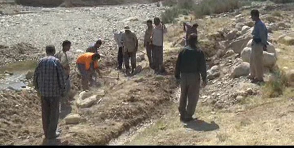 کشاورزی