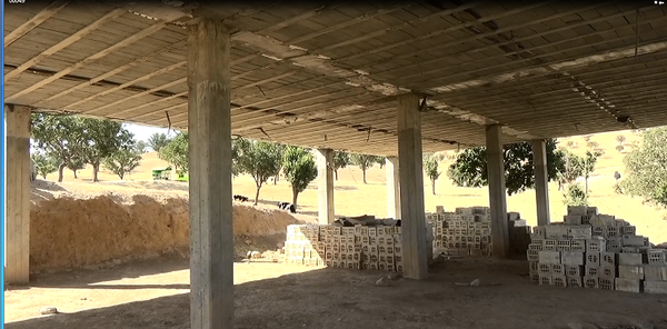 ده گرو