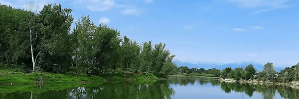 تصویر سربرگ نمایه‌ی ‌صغری عاشوری‌